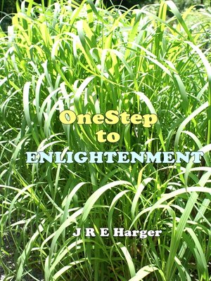 cover image of One Step to Enlightenment